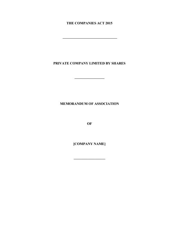 Document Preview